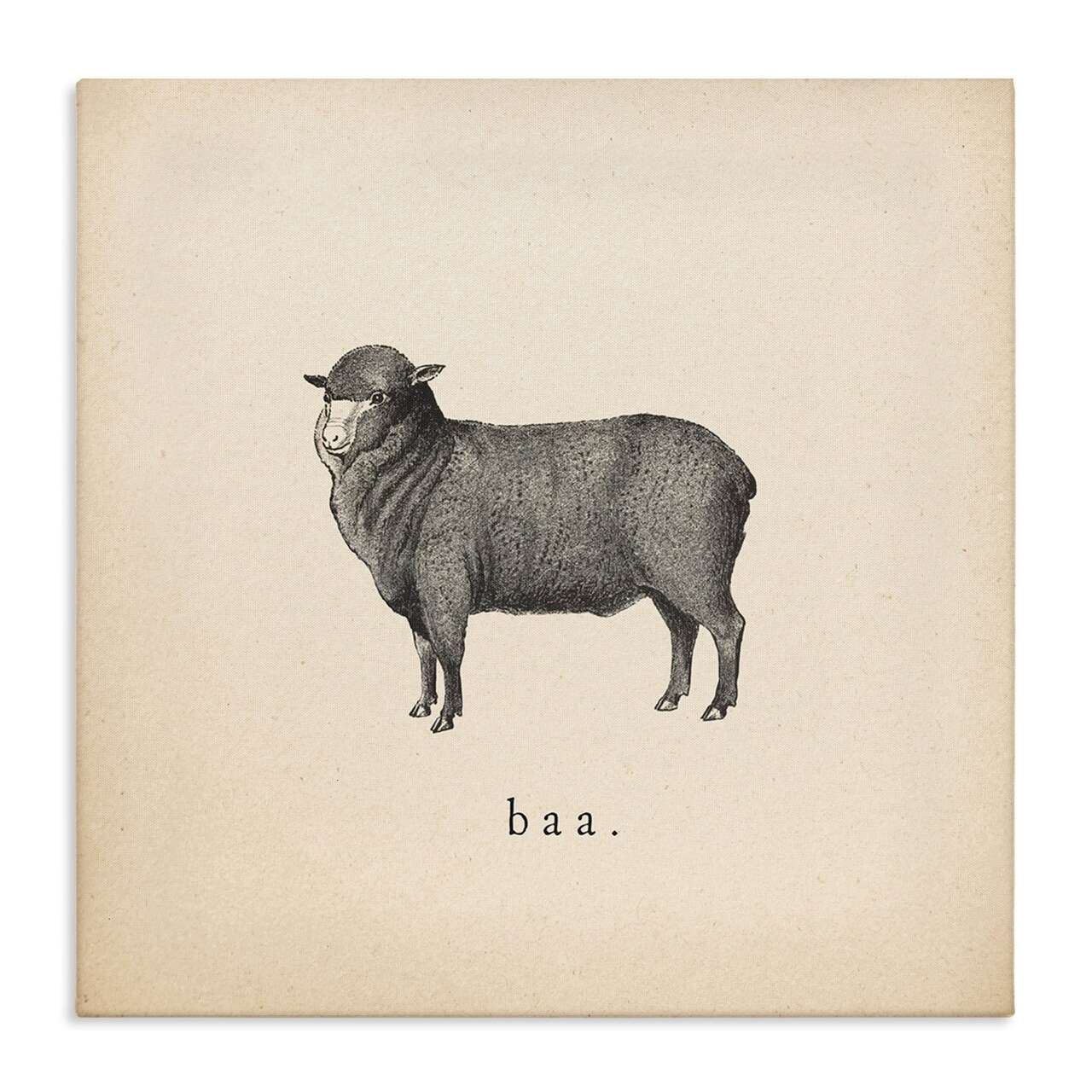 Stupell Industries Baa Farm Sheep Sounds Canvas Wall Art Design by Wild Apple Portfolio